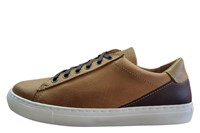 Mens sneakers - cognac/brown in large sizes